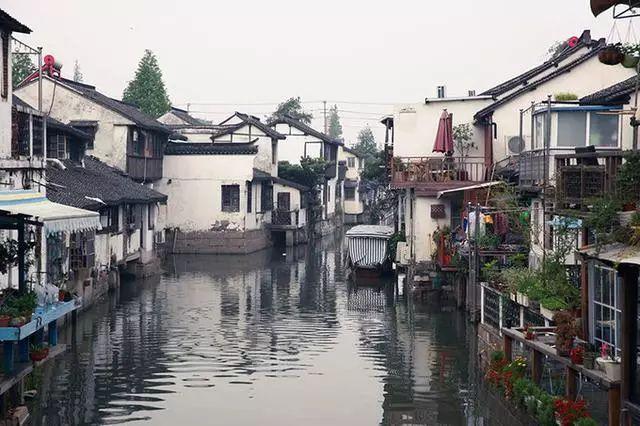 市高新区守护城市“高颜值”